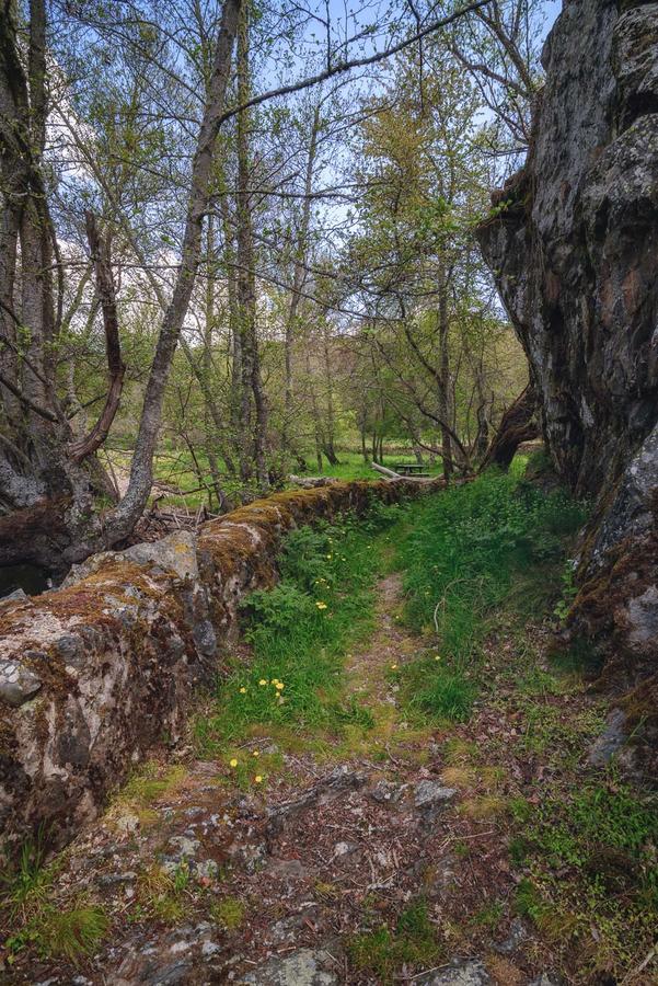 Casa Rural Aguas Frias I ξενώνας La Omañuela Εξωτερικό φωτογραφία