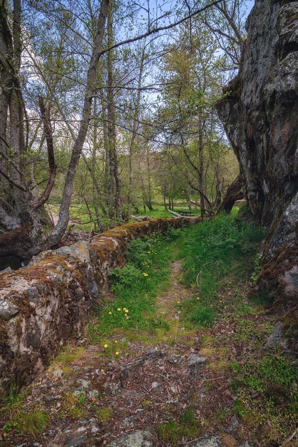 Casa Rural Aguas Frias I La Omañuela Εξωτερικό φωτογραφία