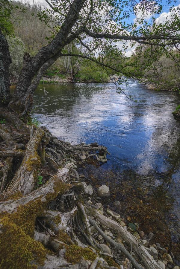 Casa Rural Aguas Frias I ξενώνας La Omañuela Εξωτερικό φωτογραφία